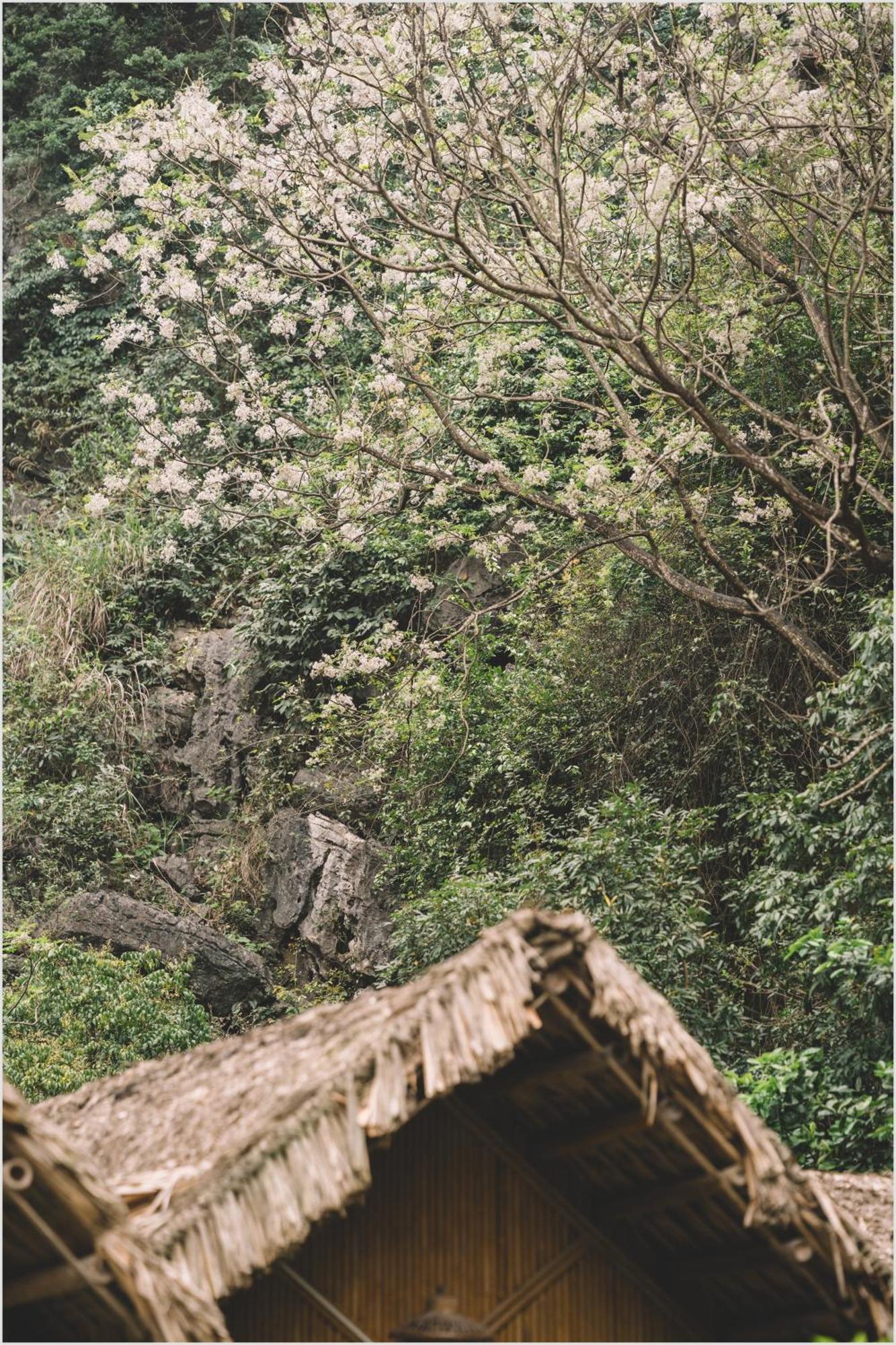 Ferienwohnung Trang An Mountain House Ninh Binh Exterior foto